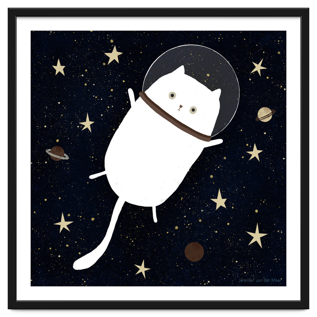 Cat 32: Cats in space!