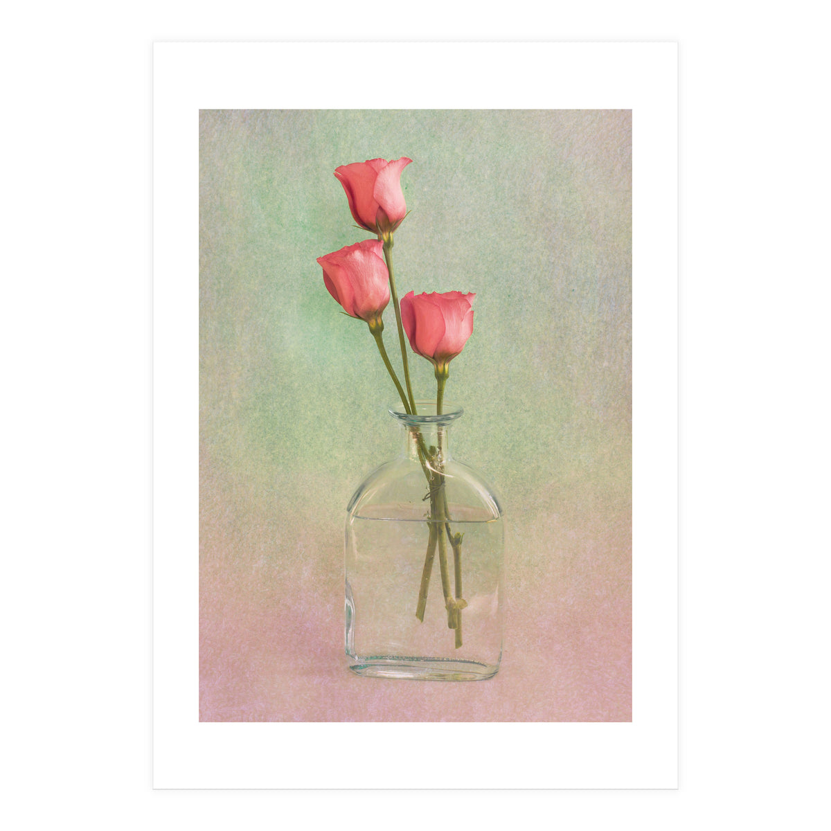 Three In A Flask (Print Only)