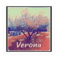 Olive Tree In Verona (Print Only)