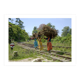 Nuwara Eliya, Sri Lanka (Print Only) thumbnail