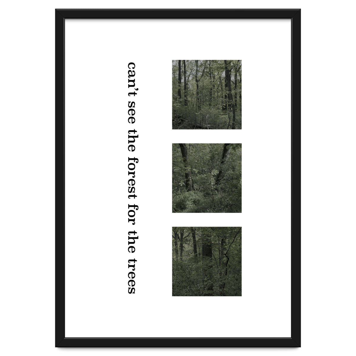 can’t see the forest for the trees