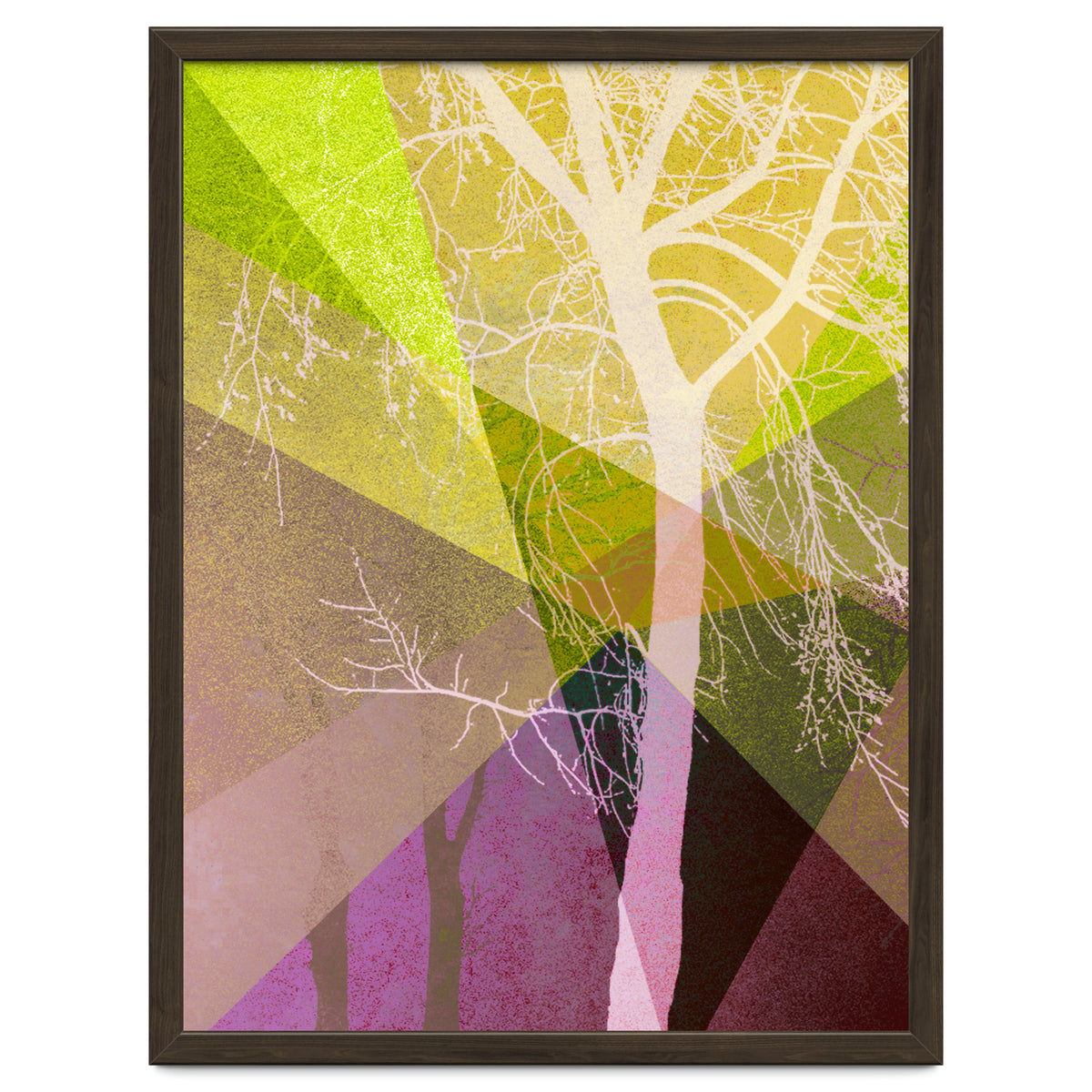 P22 A Trees And Triangles