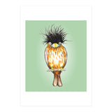 Brahminy starling (Print Only) thumbnail