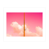 The Pink Half (Print Only) thumbnail