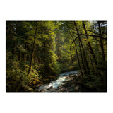 Cascade River (Print Only) thumbnail
