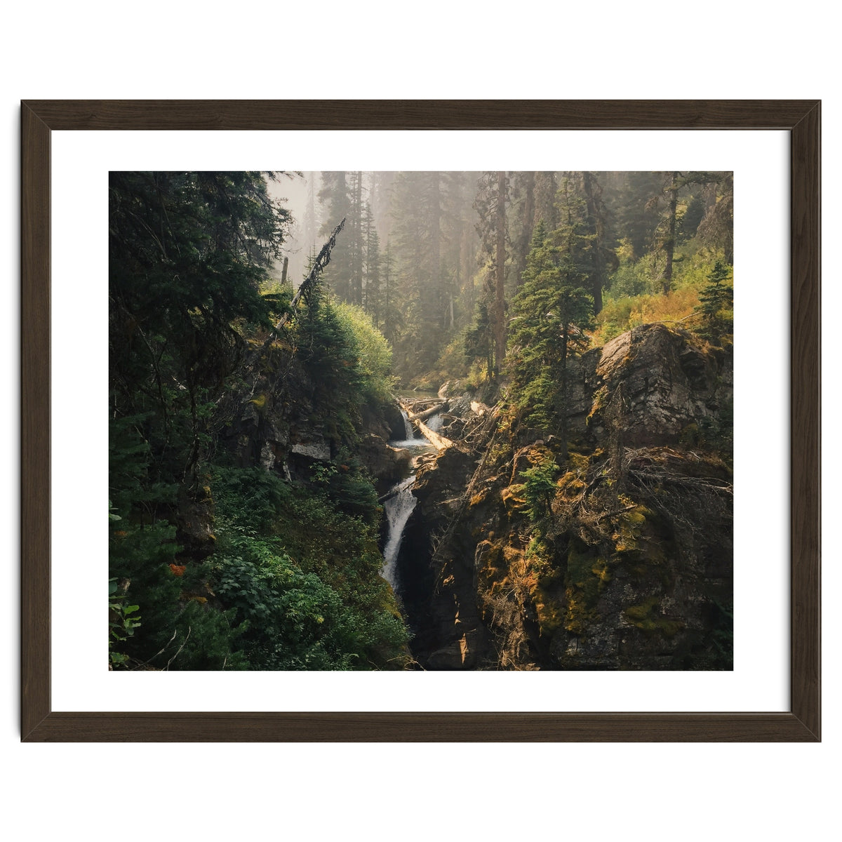 Glacier National Park I