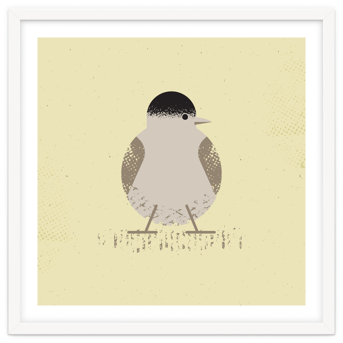 Blackcap 2