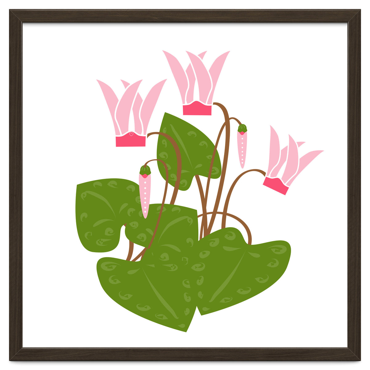 Cascading Cyclamen
