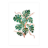 Monstera Deliciosa (Print Only) thumbnail