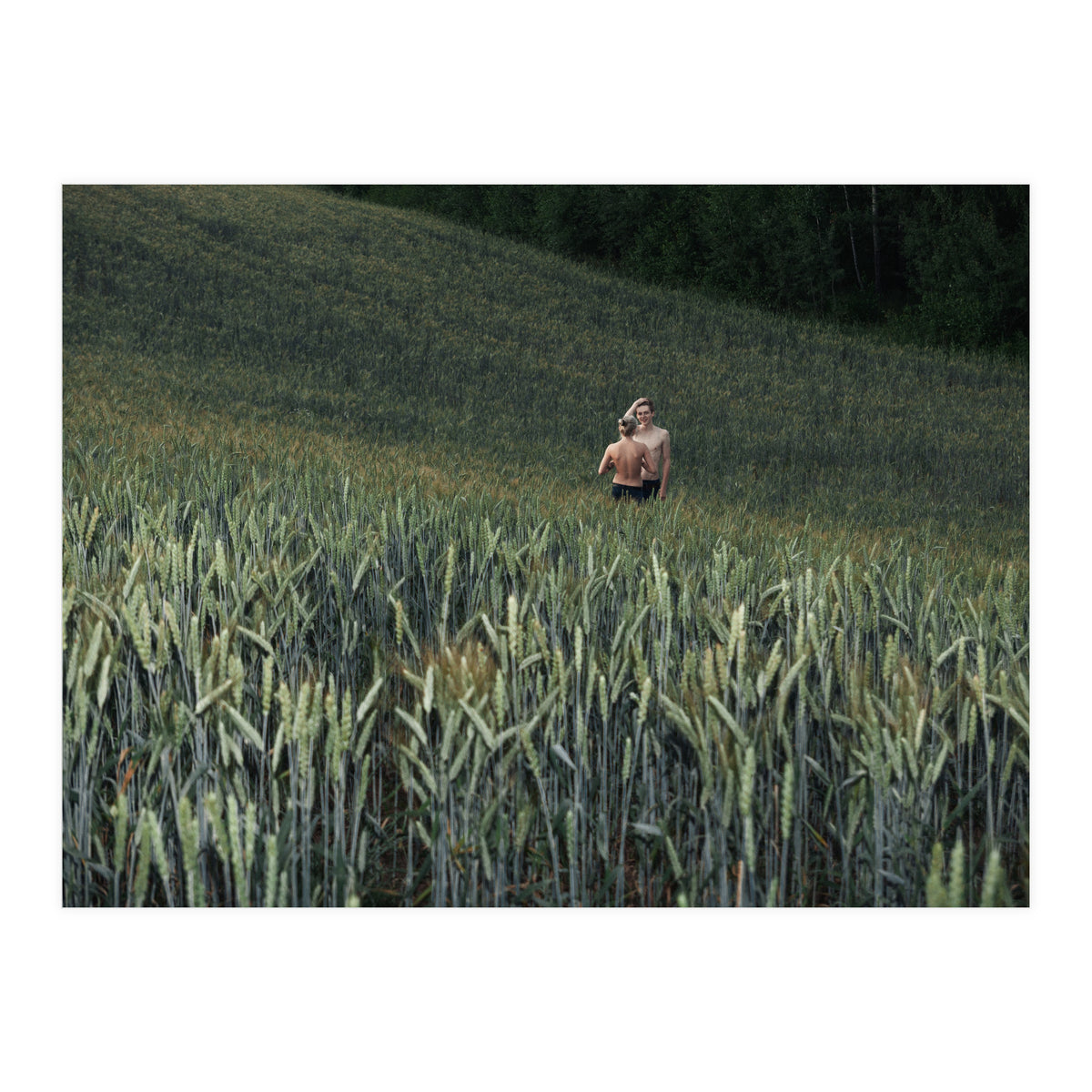 Logical Fallacy (Print Only)