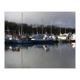 Fleet (Print Only) thumbnail