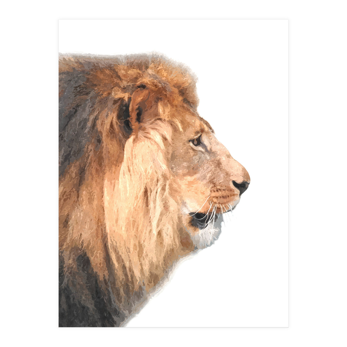 Lion Profile (Print Only)