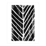 Botanicals Collection No8 (Print Only) thumbnail