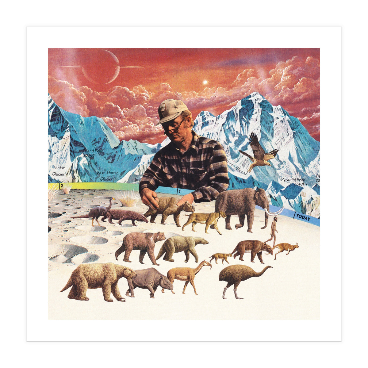 Evolution (Print Only)