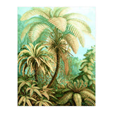 Vintage Tropical | Jungle Botanical Nature Banana Tree | Bohemian Plants Trees Forest (Print Only) thumbnail