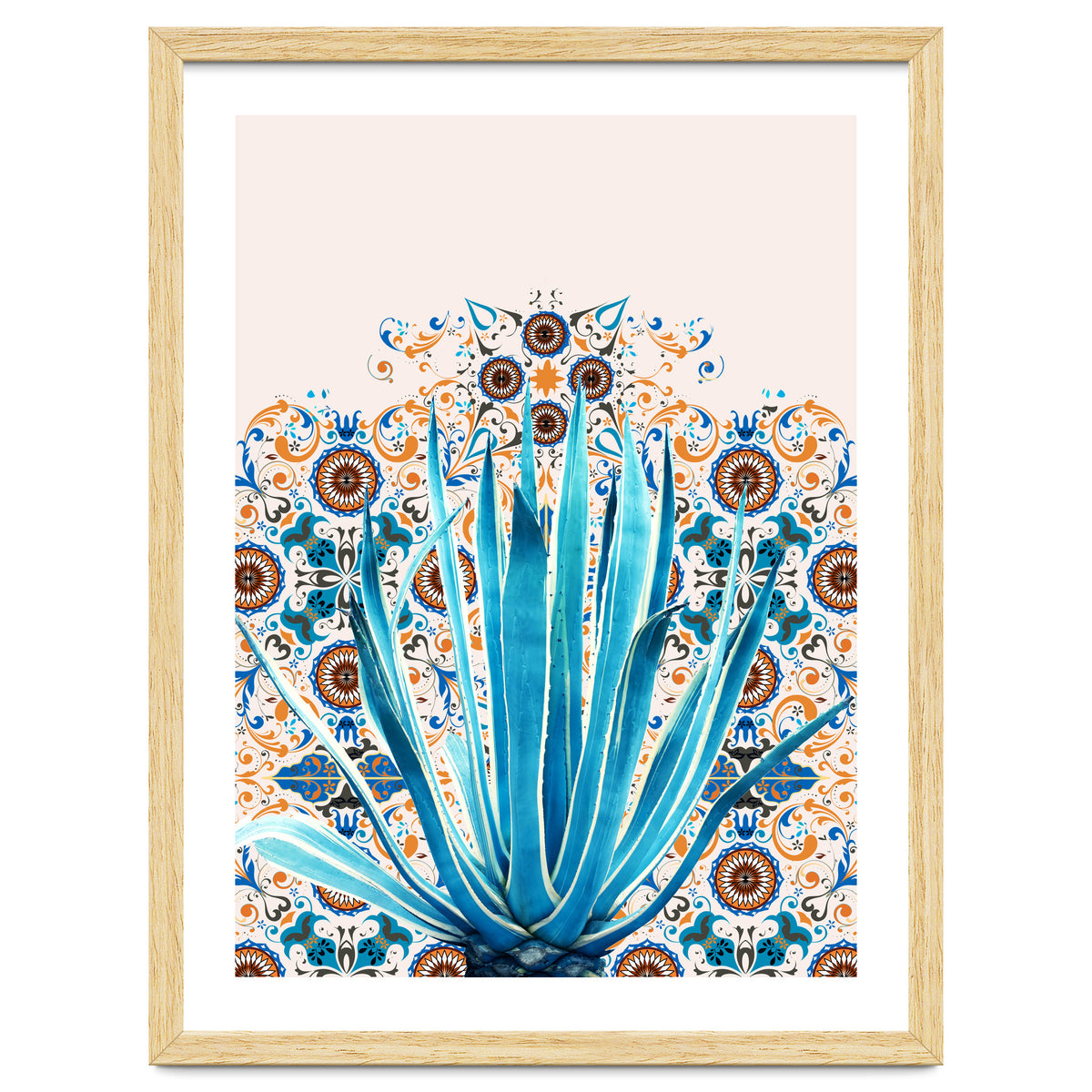 Cactus and Moroccan tiles