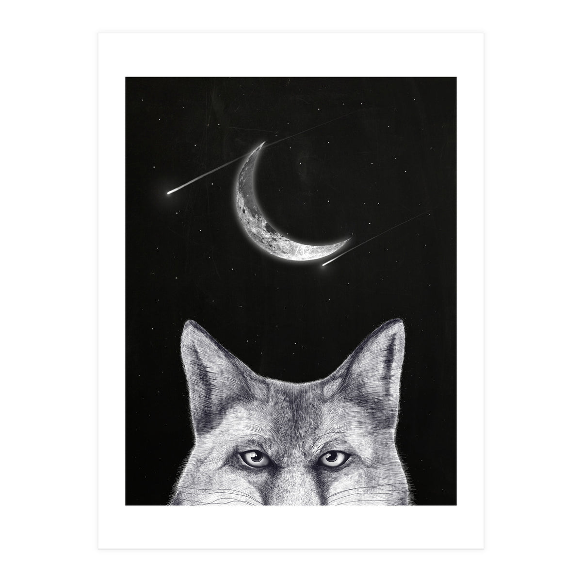 Fox Of The Night (Print Only)