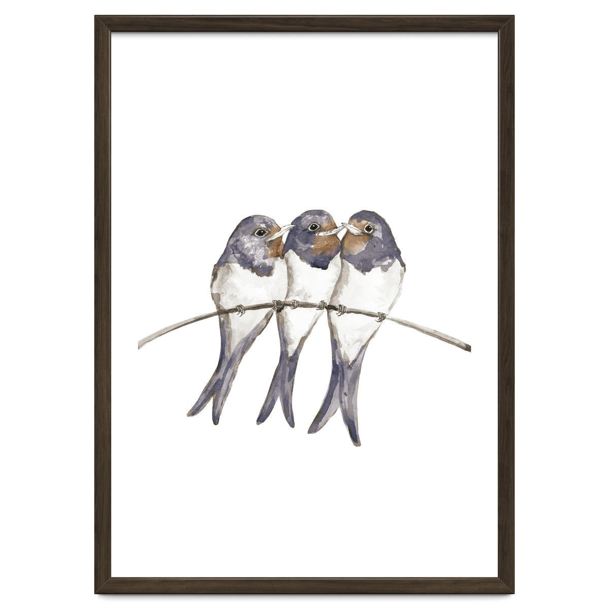 Three young swallows