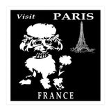 Paris France Travel Poster (Print Only) thumbnail