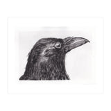 Crow (Print Only) thumbnail