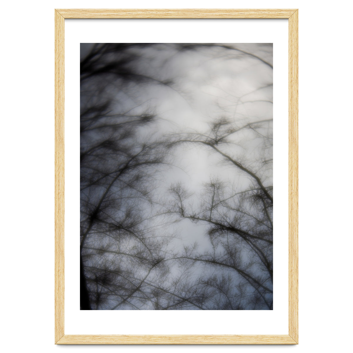 Forgotten Memories of Summer #16