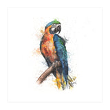 Parrot - Wildlife Collection (Print Only) thumbnail