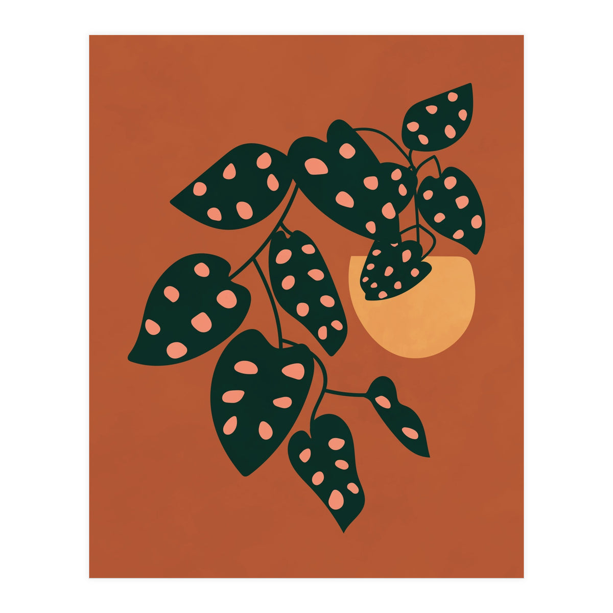 Monstera Adansonii (Print Only)
