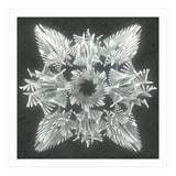 A Winged Debacle (Print Only) thumbnail