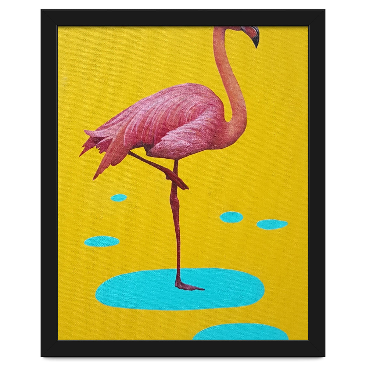 Flamingo