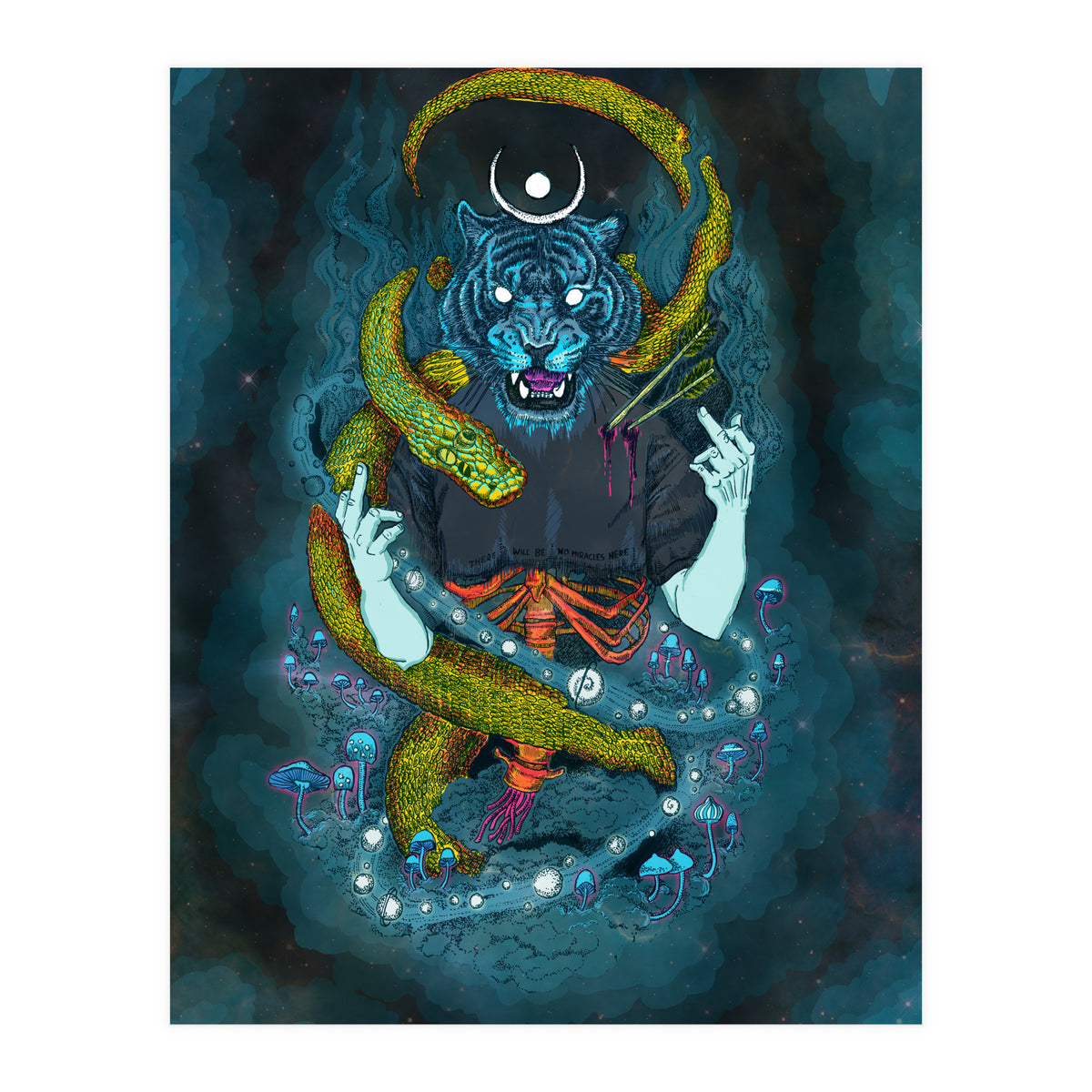 No Miracles  (Print Only)