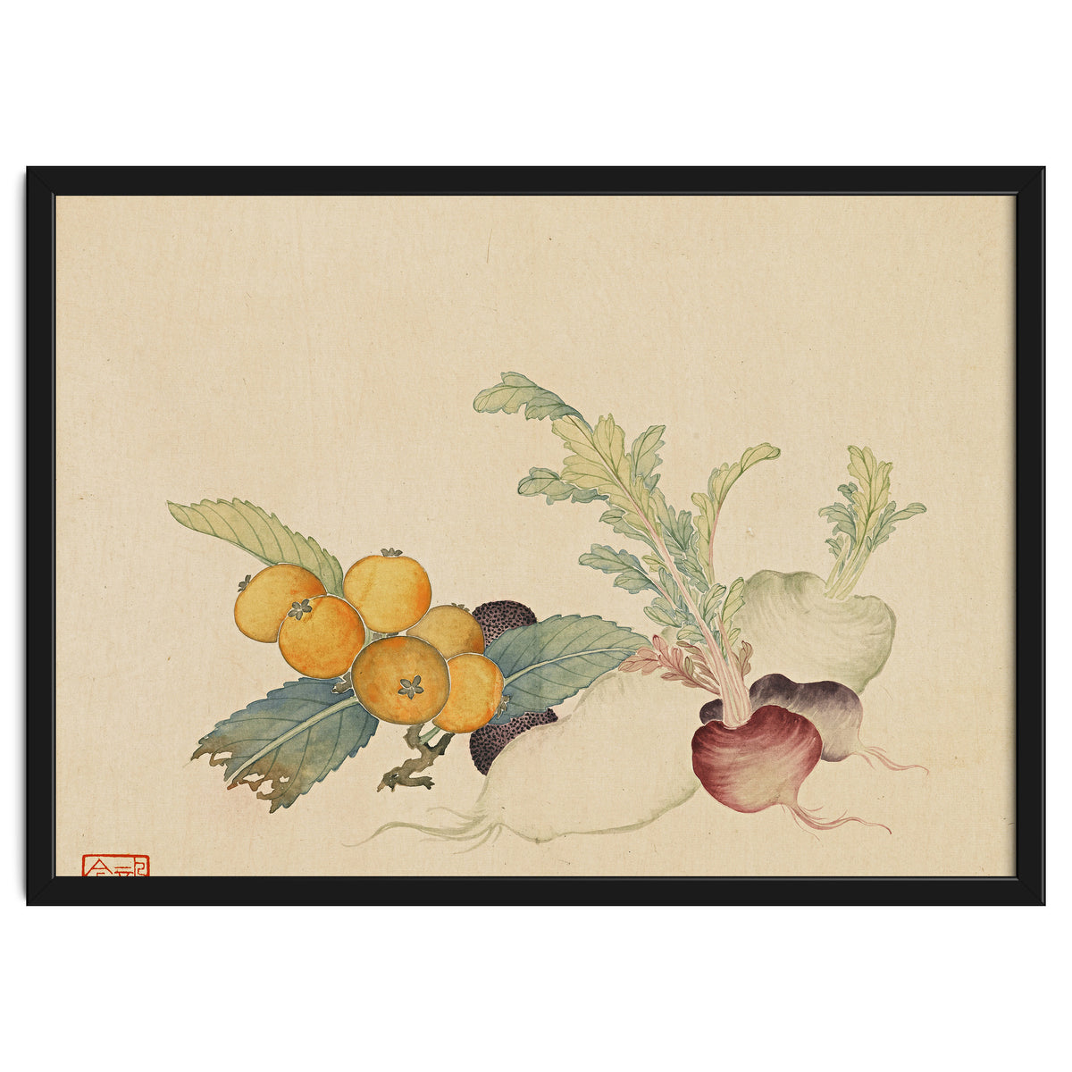 Wang Chengpi~flowers And Vegetables, Vegetables, Fruits, Loquat, White Radish, Carrot, Radish