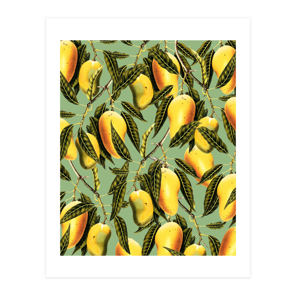 Mango Season (Print Only)