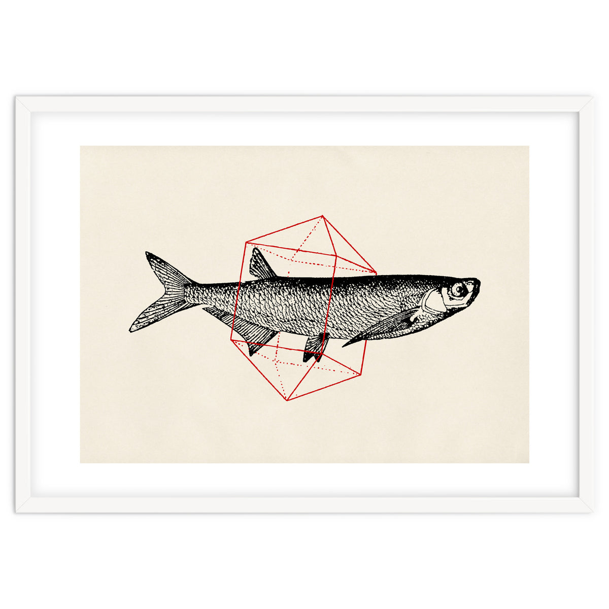 Fish In Geometrics II