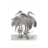 Crane Houses (Print Only) thumbnail