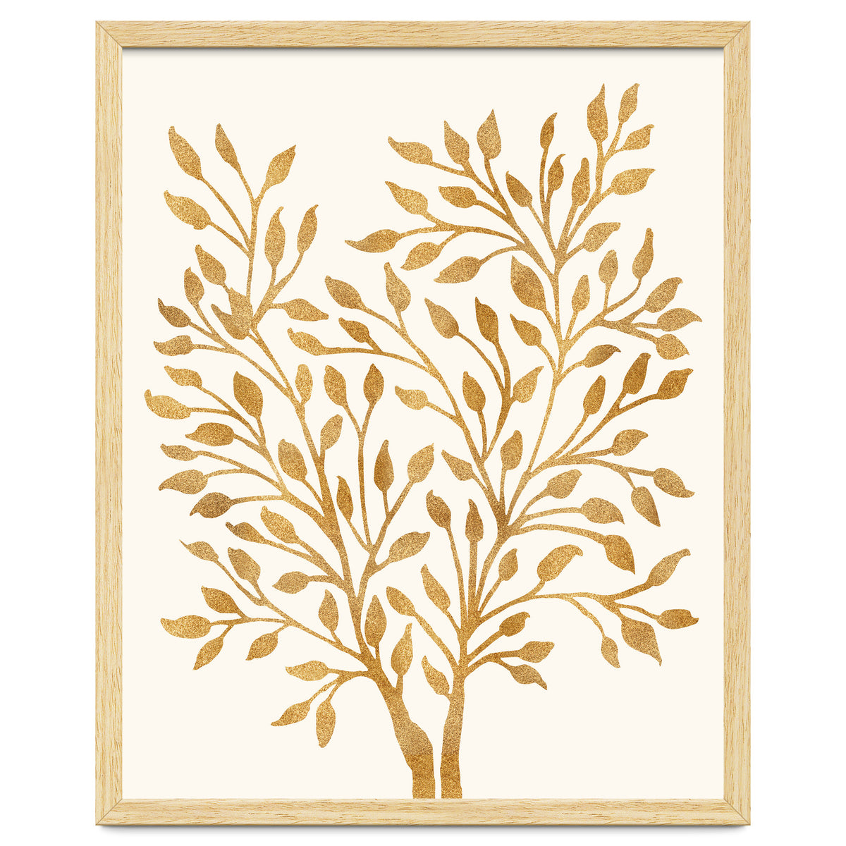 Golden Ficus 4x5