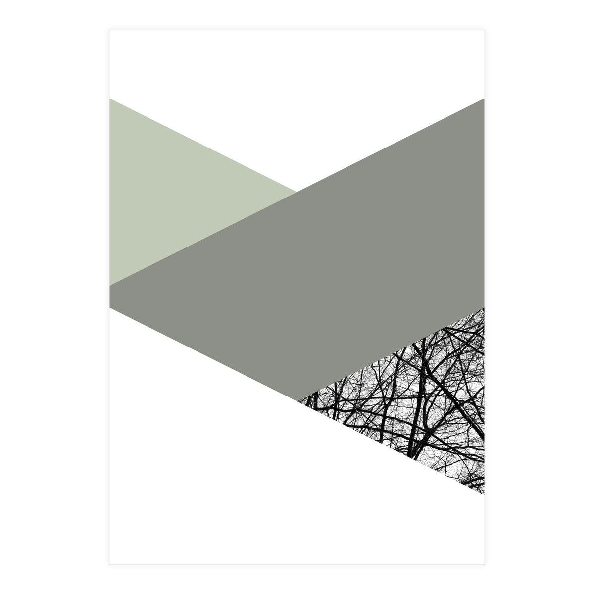 TRIWOOD III (Print Only)