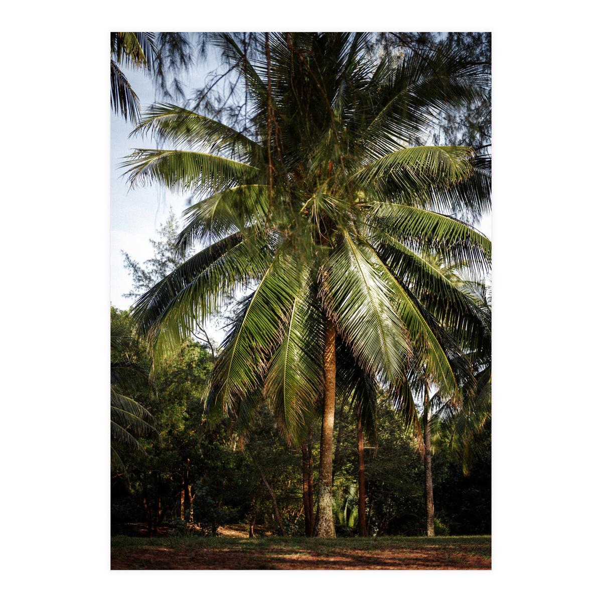 Vacation Postcard (Print Only)