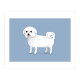 Bichon Frise (Print Only) thumbnail