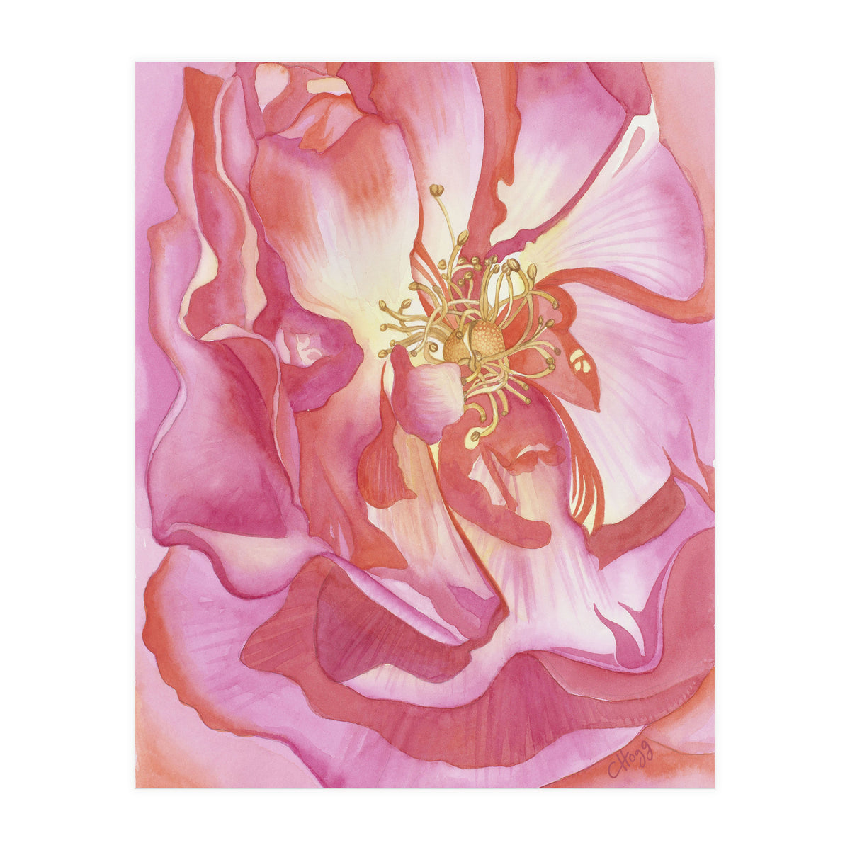 Love Is A Rose (Print Only)