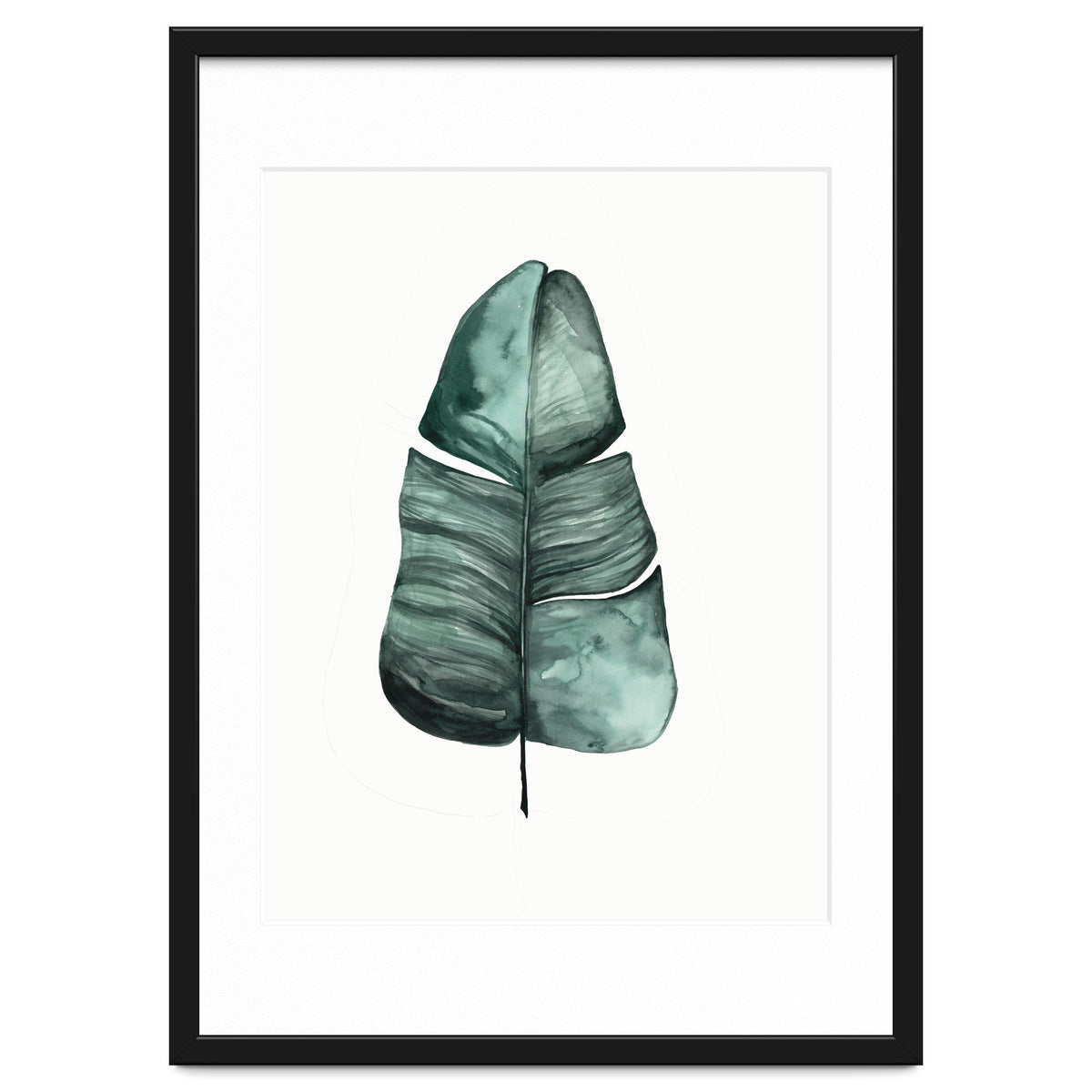 Botanical Illustration Banana Leaf