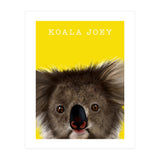 Koala Joey (Print Only) thumbnail