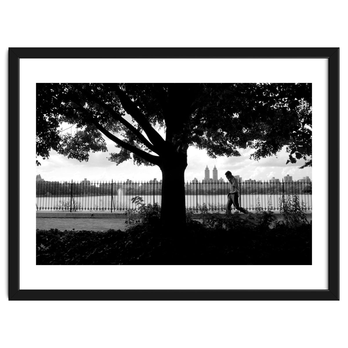 Central Park, New York City