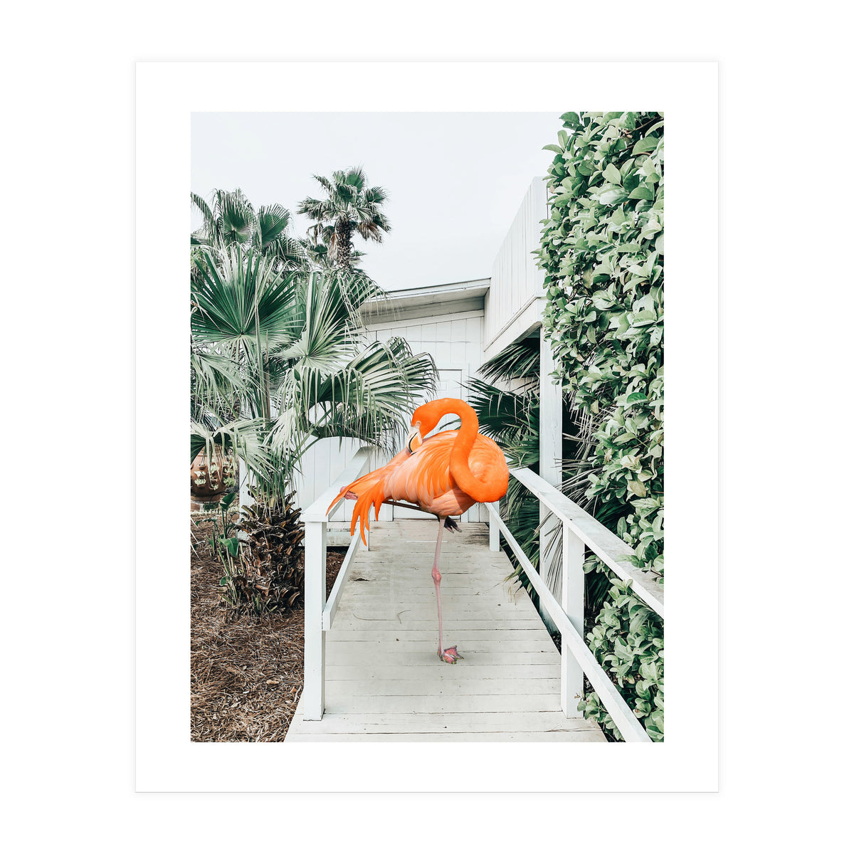 Flamingo Beach House (Print Only)