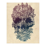 Skull Floral  (Print Only) thumbnail