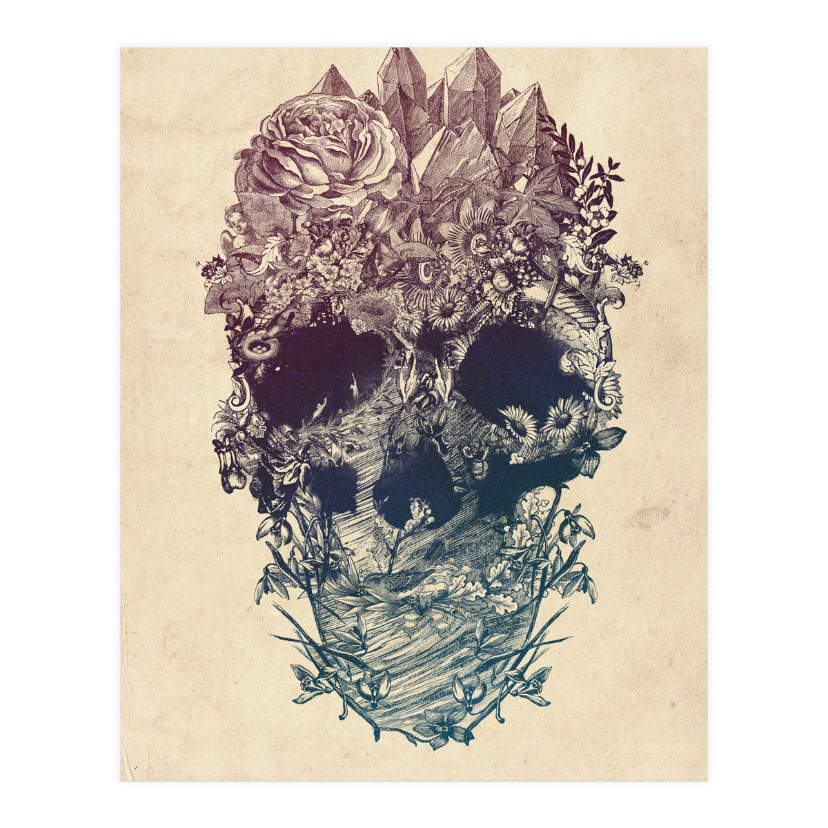 Skull Floral  (Print Only)