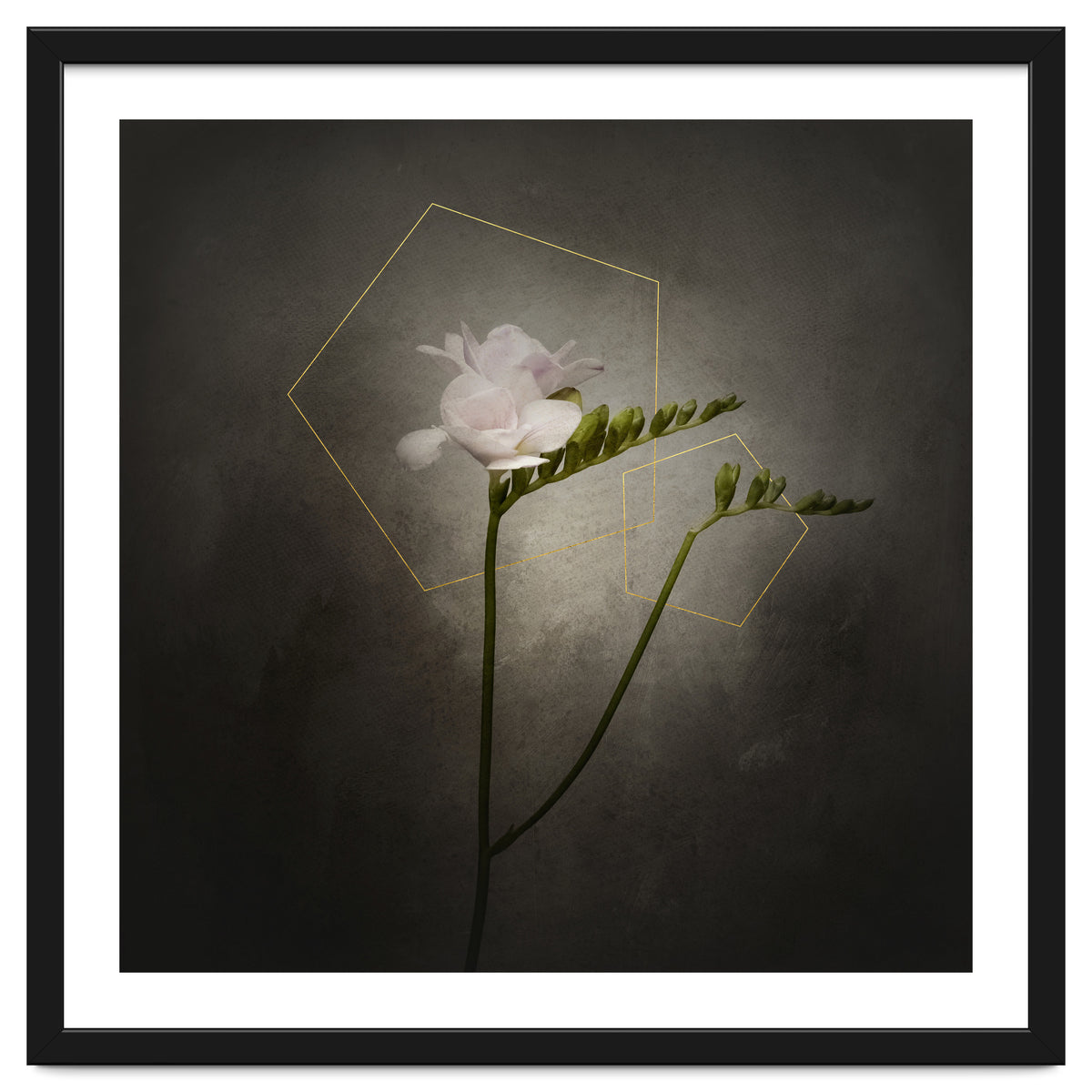 Graceful flower - Freesia | vintage style gold