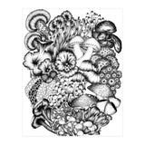 Medley Of Mushrooms (Print Only) thumbnail