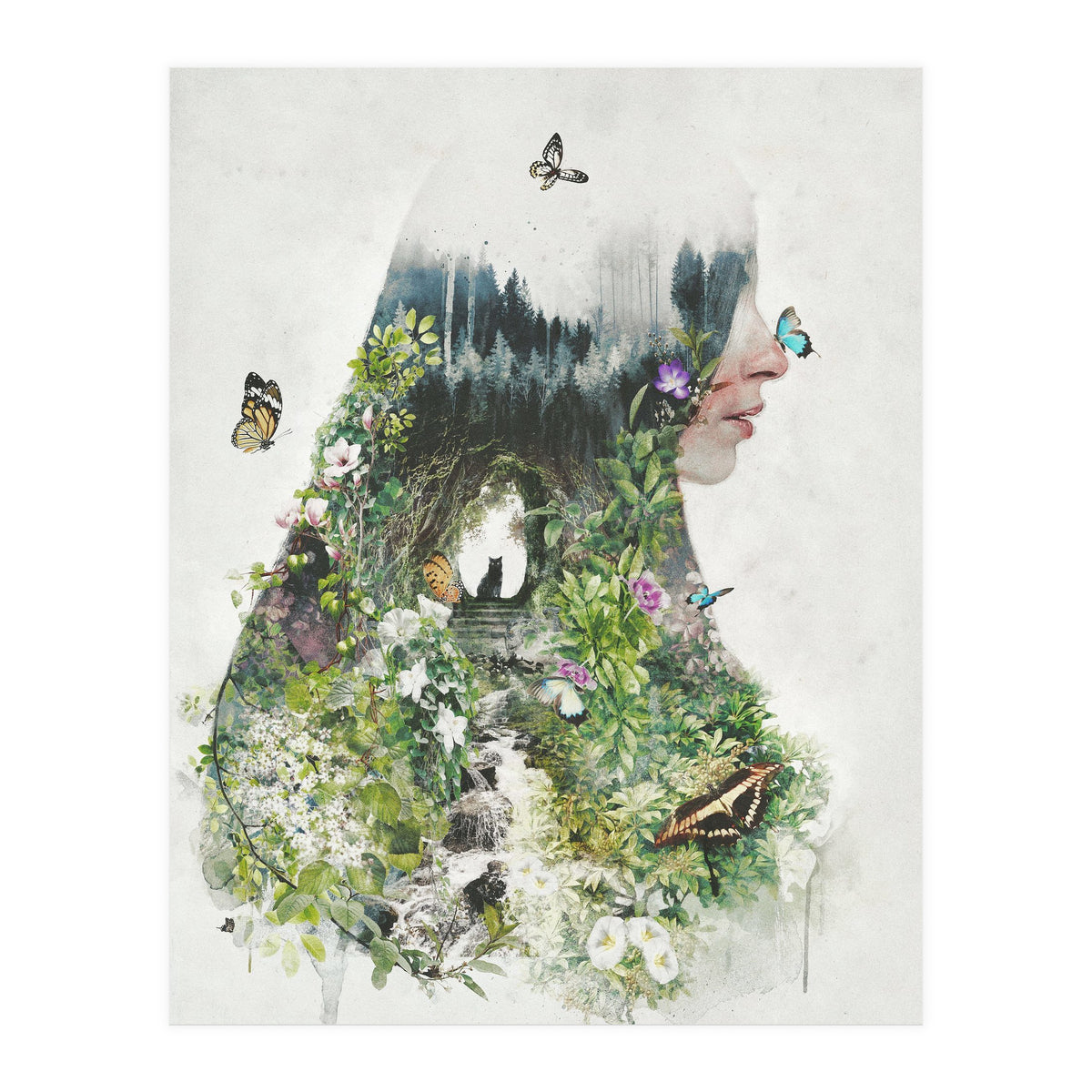 Cat in the Garden (Print Only)