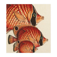 Fish Classic Designs 2 (Print Only)