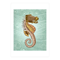 Hippocampus Camerarum (Print Only)